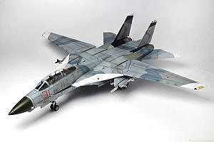 1/48 F-14Aトムキャット アメリカ海軍戦闘機兵器学校 トップガン [TPA