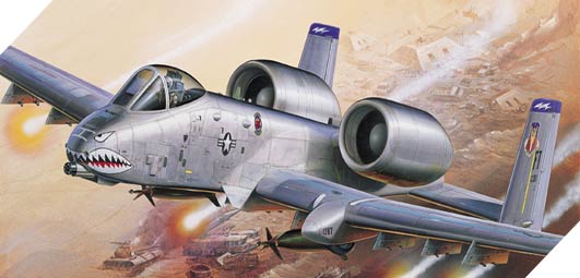 1/72 A-10A サンダーボルトⅡ ”オペレーション・イラキ・フリーダム" - ウインドウを閉じる