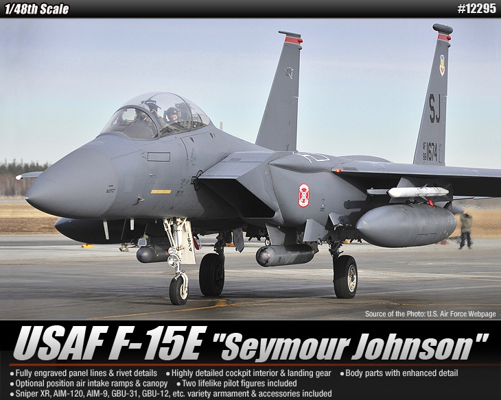 1/48 F-15E ストライクイーグル "シーモア・ジョンソン" - ウインドウを閉じる
