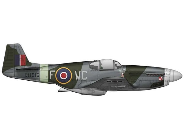 1/72 P-51B/C マスタング リミテッドエディション