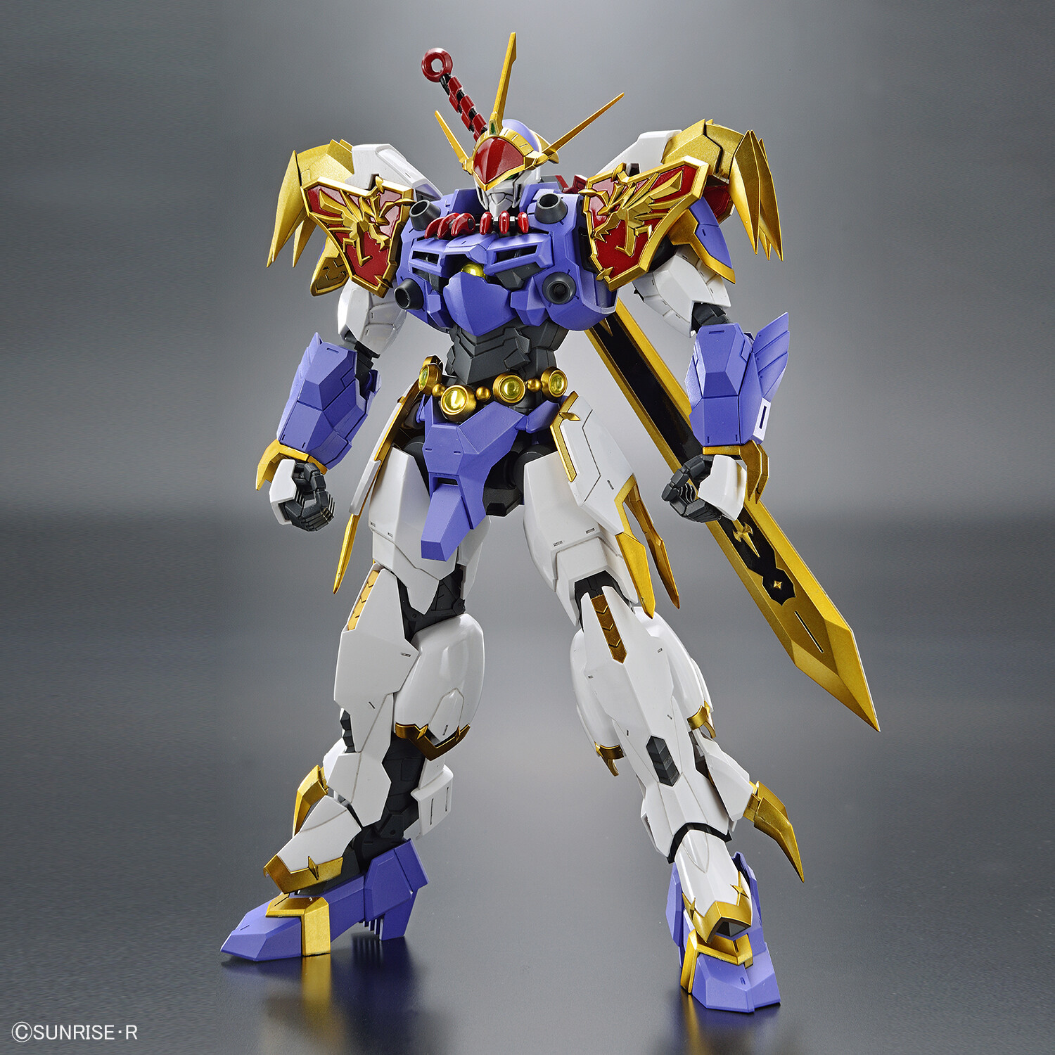 HG Amplified IMGN 龍神丸