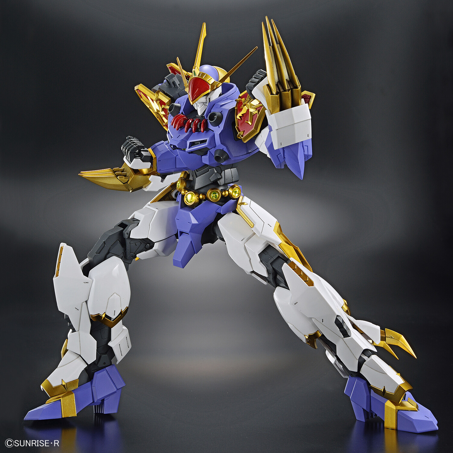 HG Amplified IMGN 龍神丸