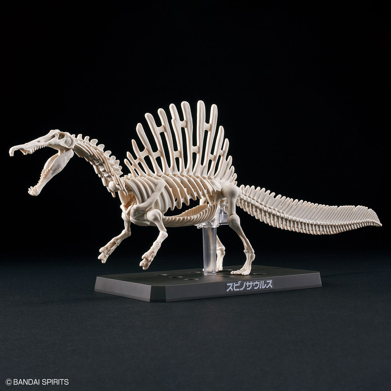 プラノサウルス スピノサウルス - ウインドウを閉じる