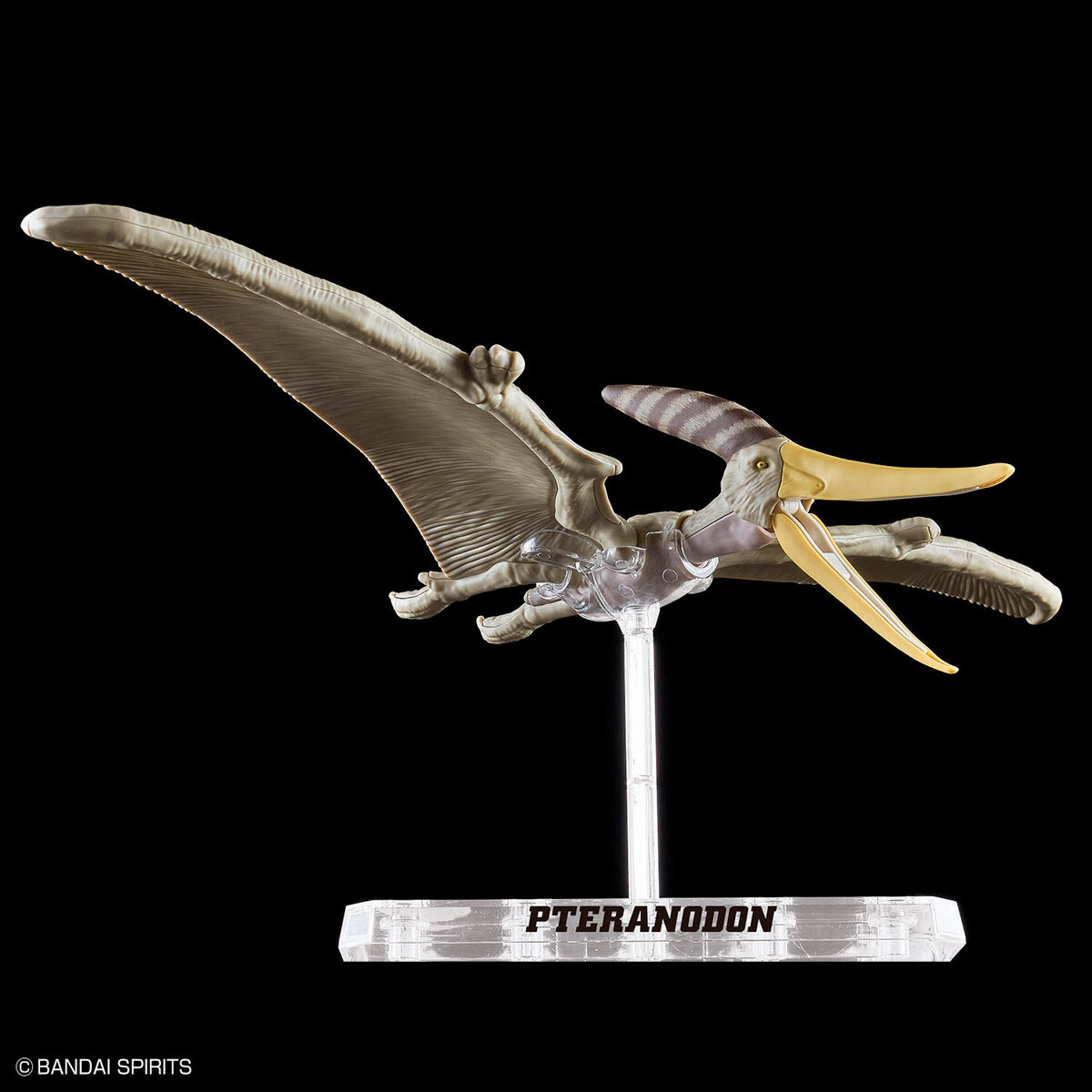 プラノサウルス プテラノドン - ウインドウを閉じる