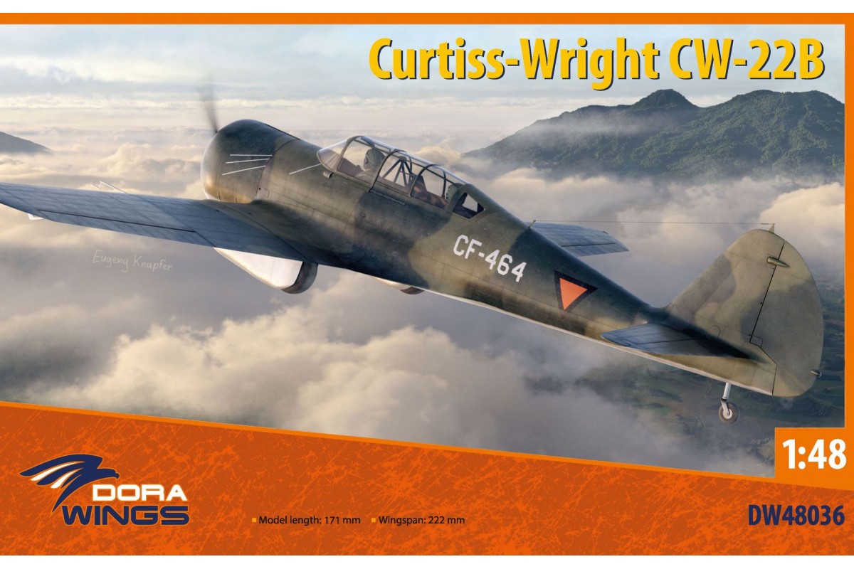 1/48 カーチス・ライト CW-22B