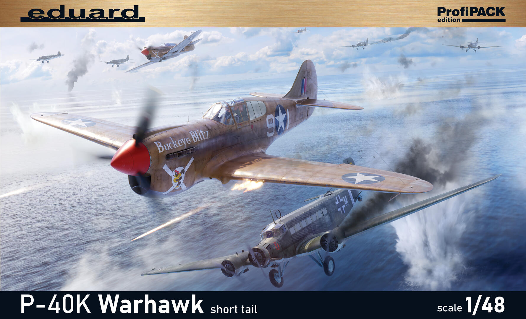 1/48 P-40K "ショートテール" プロフィパック