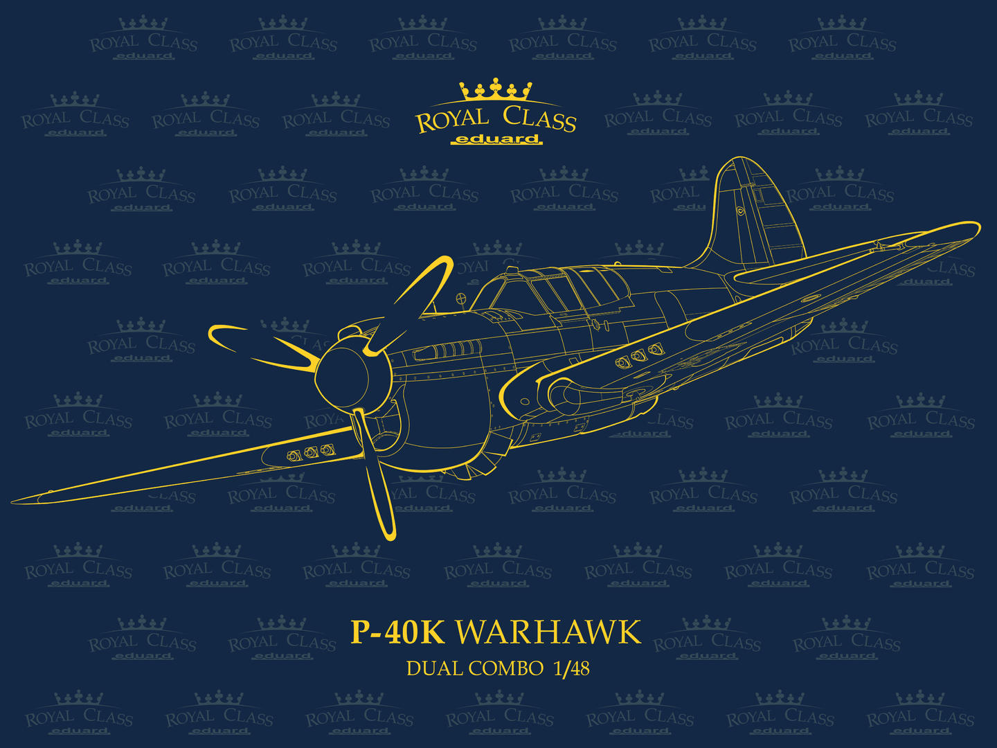 1/48 P-40K ウォーホーク ロイヤルクラス デュアルコンボ リミテッドエディション