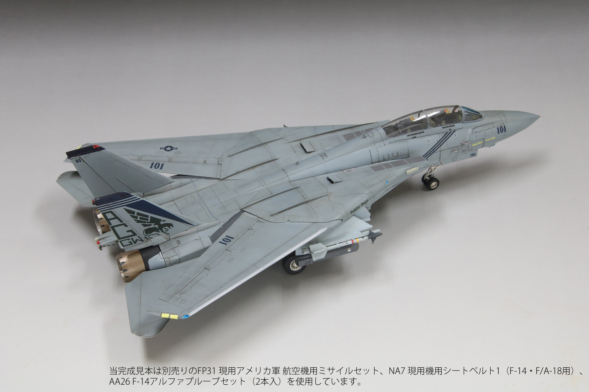 1/72　アメリカ海軍 F-14B トムキャットTM VF-143 “ピューキンドッグス”