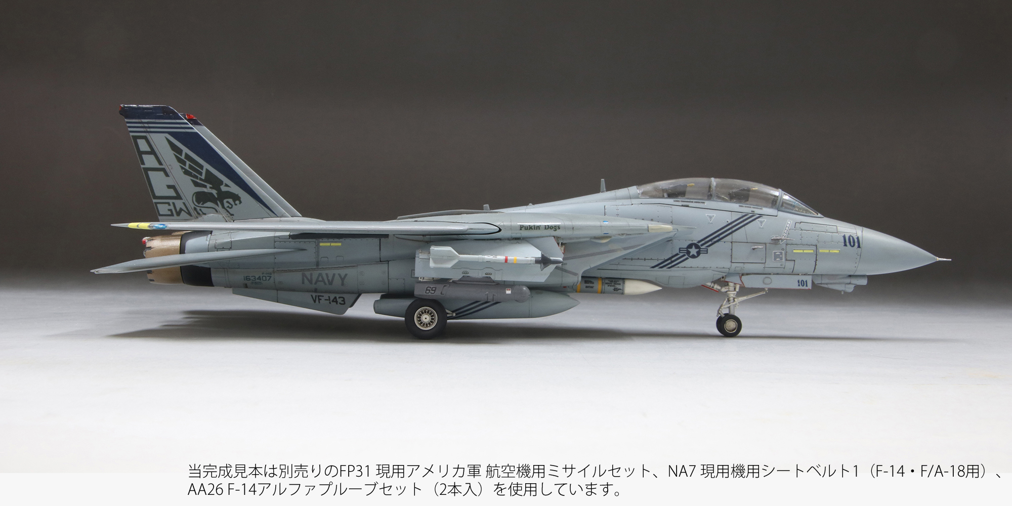 1/72　アメリカ海軍 F-14B トムキャットTM VF-143 “ピューキンドッグス”