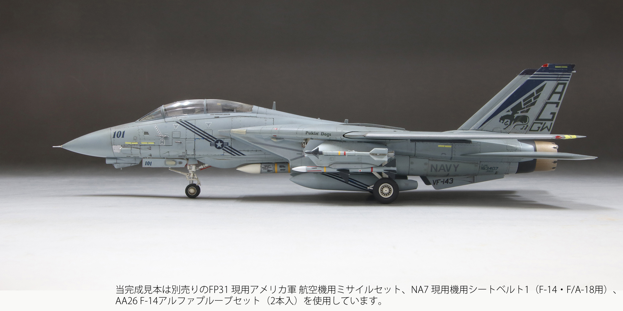 1/72　アメリカ海軍 F-14B トムキャットTM VF-143 “ピューキンドッグス”