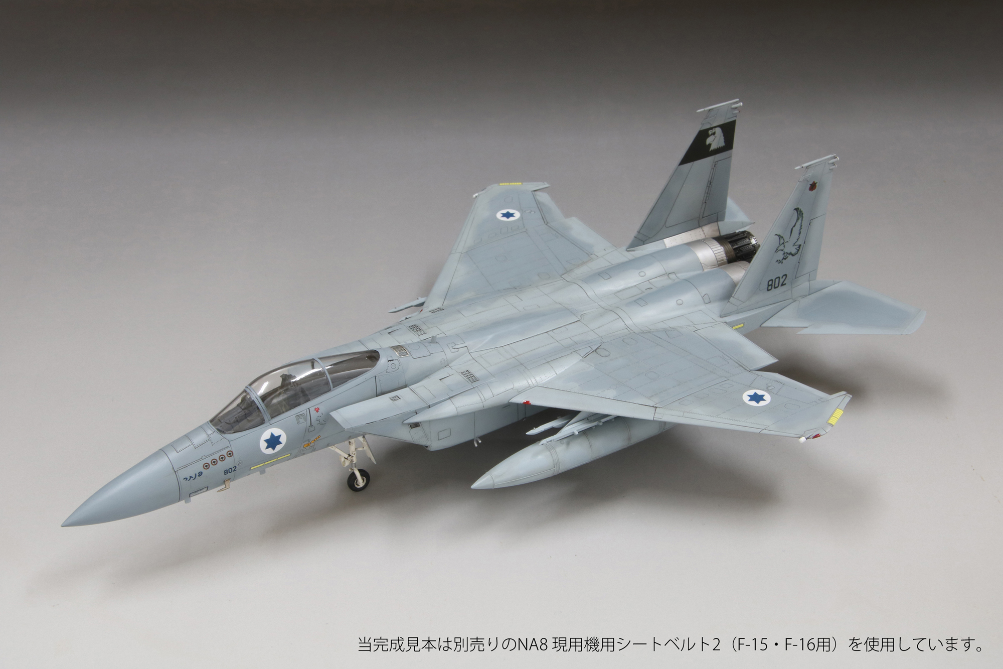 1/72　イスラエル空軍 F-15C 戦闘機 “バズ”