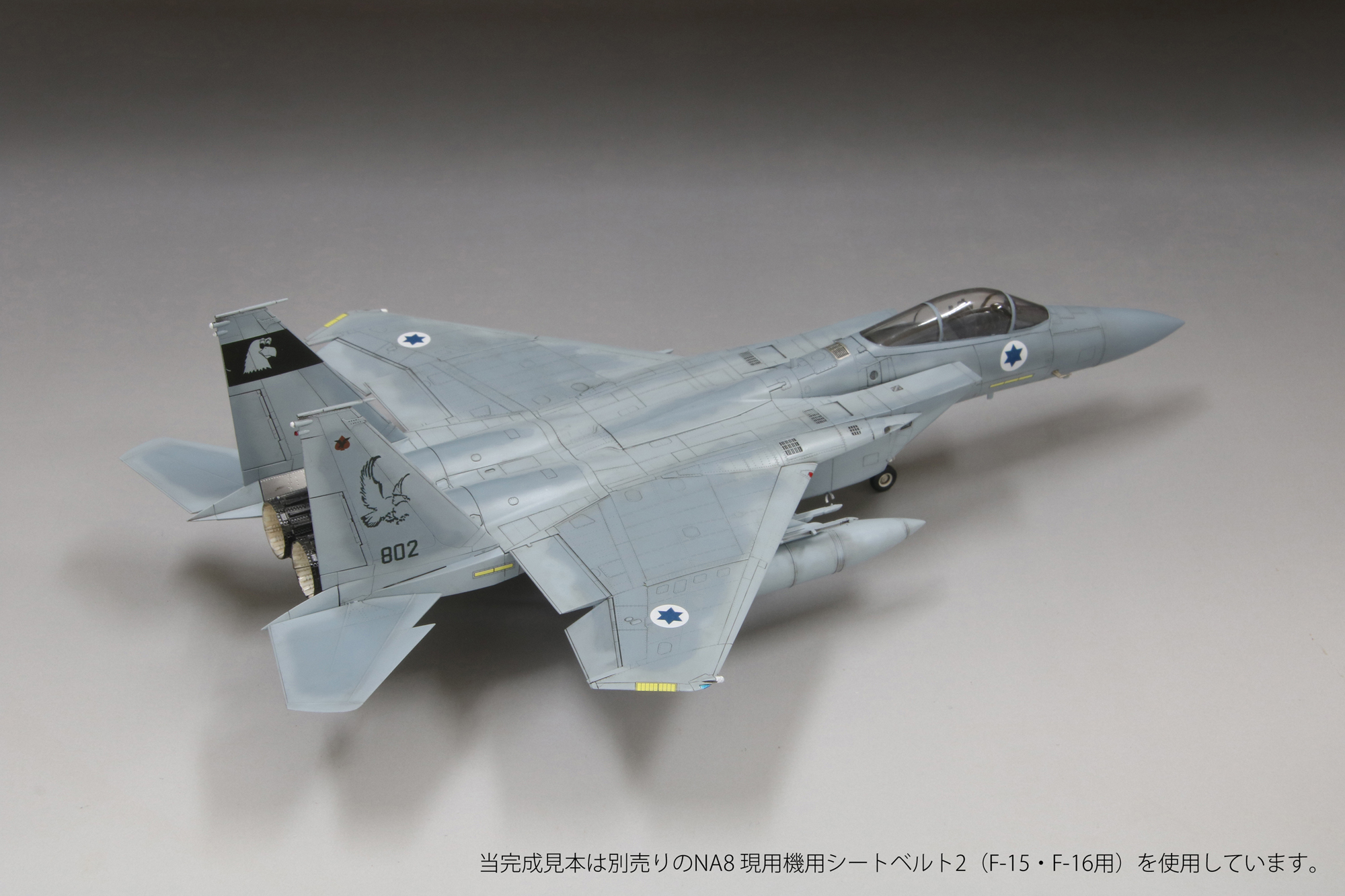 1/72　イスラエル空軍 F-15C 戦闘機 “バズ”