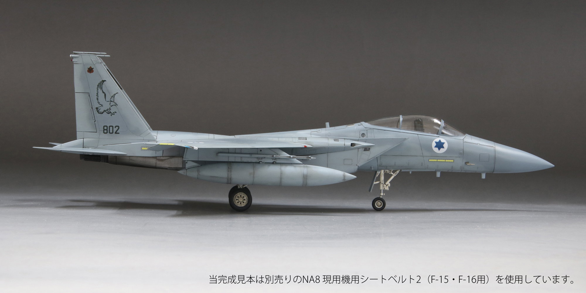 1/72　イスラエル空軍 F-15C 戦闘機 “バズ”