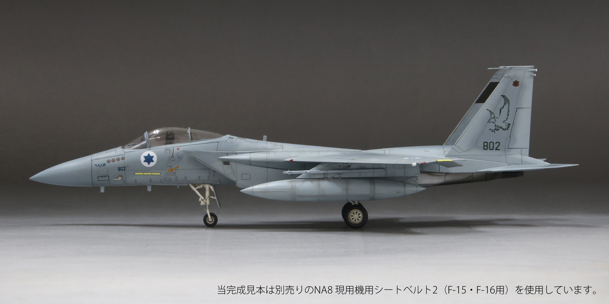 1/72　イスラエル空軍 F-15C 戦闘機 “バズ”