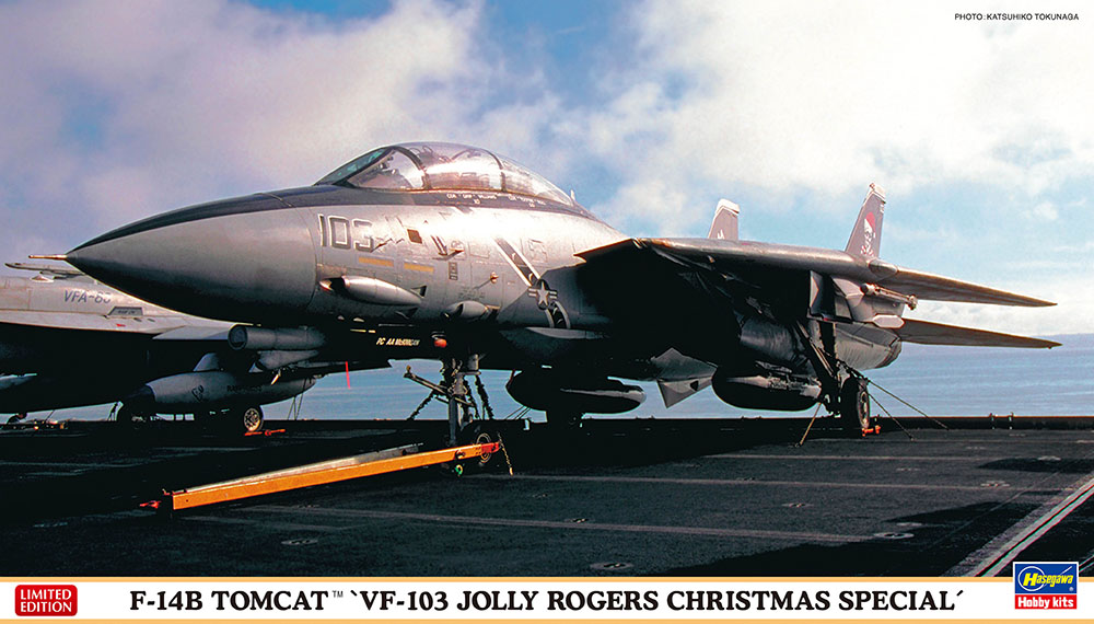 1/72　F-14B トムキャット “VF-103 ジョリー ロジャース クリスマス スペシャル” - ウインドウを閉じる