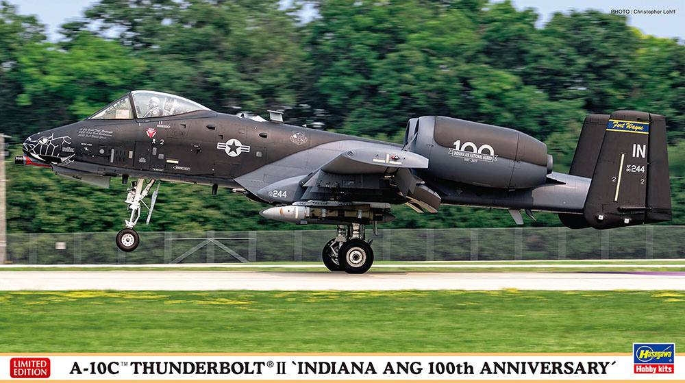 1/72　A-10CサンダーボルトII“インディアナ州空軍100周年記念塗装” - ウインドウを閉じる