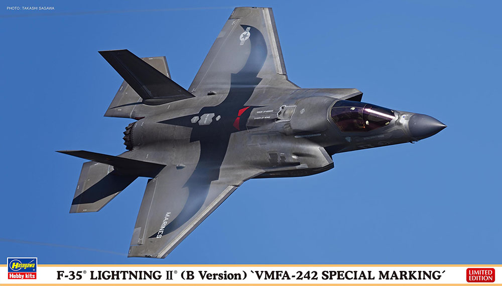 1/72　F-35 ライトニングII （B型）“VMFA-242 スペシャルマーキング”