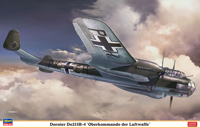1/48　ドルニエDo215B-4 “ドイツ空軍最高司令部” - ウインドウを閉じる