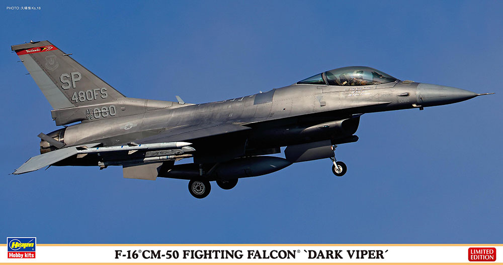 1/48　F-16CM-50 ファイティング ファルコン “ダークバイパー” - ウインドウを閉じる