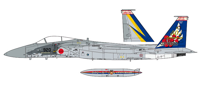 1/48　F-15J イーグル “204SQ 50周年記念 スペシャルペイント” - ウインドウを閉じる