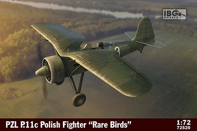 1/72　ポーランドPZL P.11c・ガル翼戦闘機・特殊迷彩 - ウインドウを閉じる