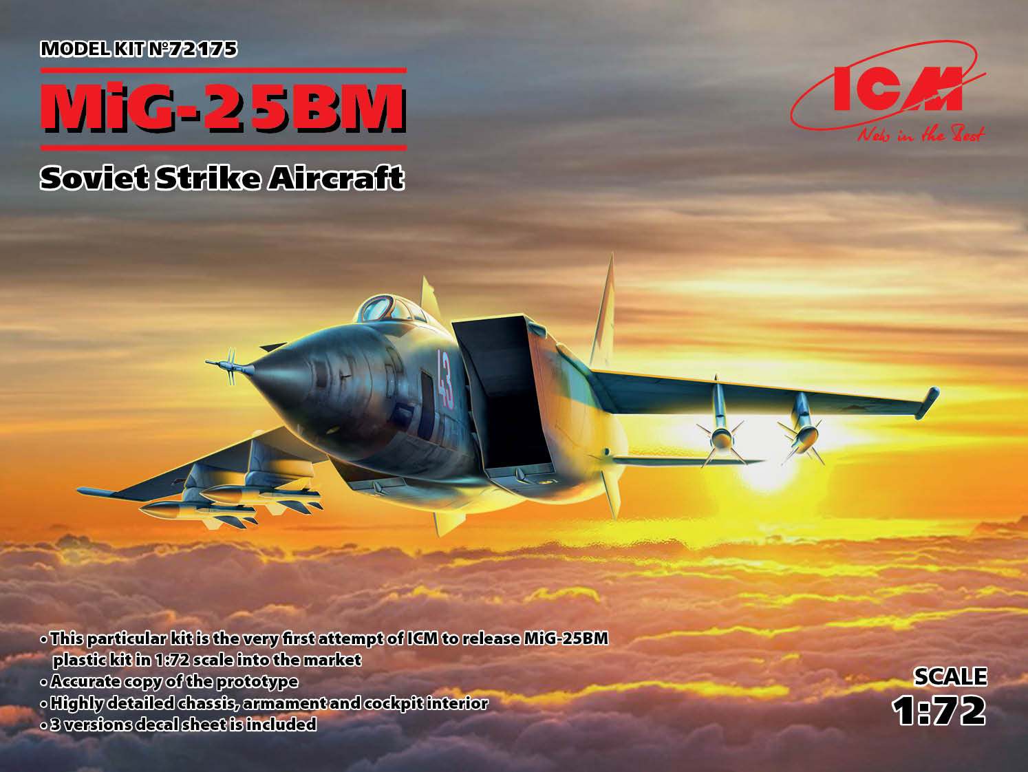 1/72　ミグ MiG-25 BM - ウインドウを閉じる