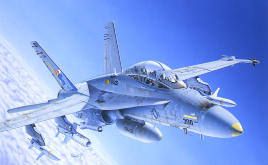1/72 アメリカ海軍 F/A-18C/D ワイルドウィーゼル
