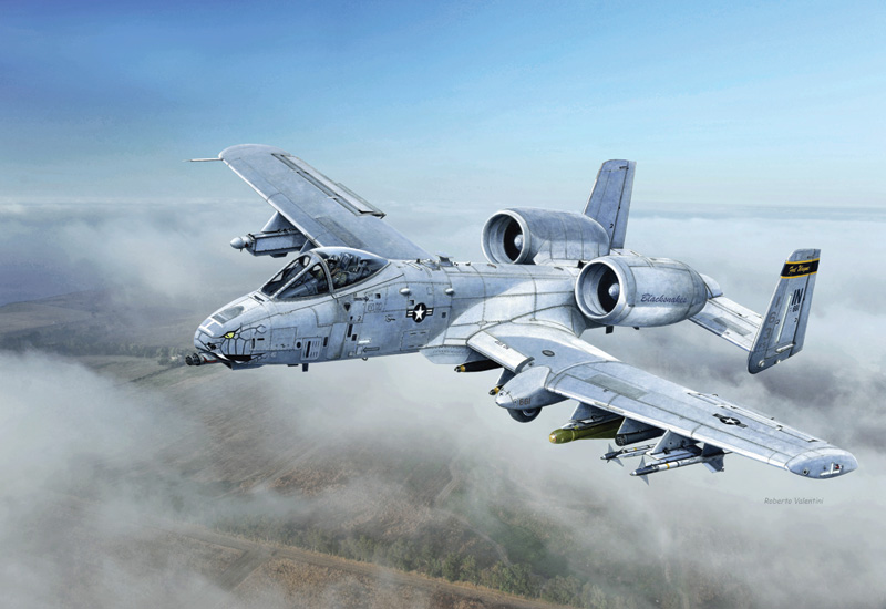 1/48 アメリカ空軍 A-10C ”ブラックスネークス”