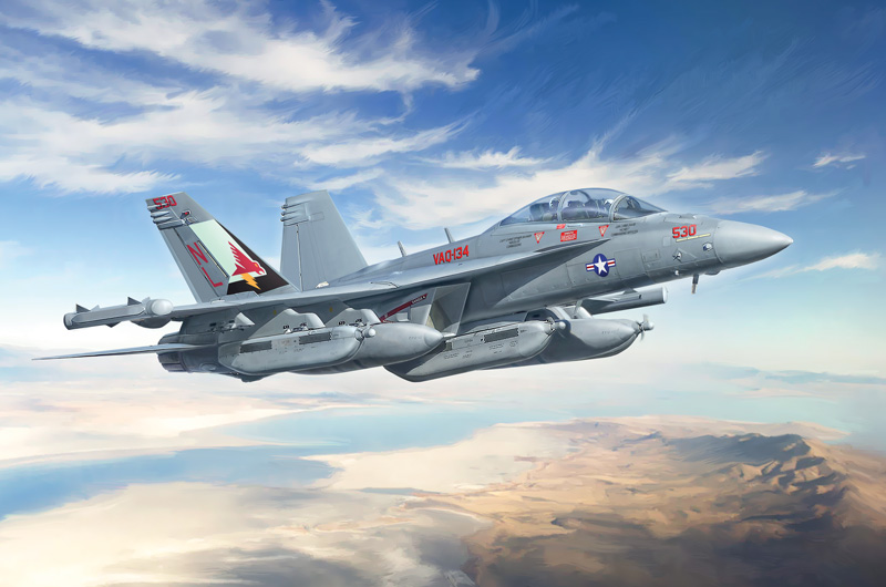 1/48 EA-18G グラウラー アメリカ海軍 VFQ-134/VFQ-137/オーストラリア空軍 第6飛行隊 100周年記念