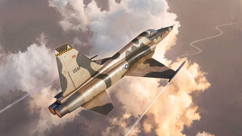 1/48 アメリカ軍 F-5EタイガーII "アグレッサー”