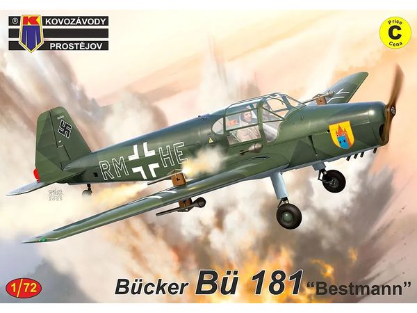 1/72 ビュッカー Bü 181 "スイス・ポーランド"