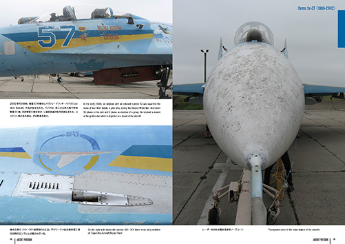 ウクライナ空軍 Su-27フランカー - ウインドウを閉じる