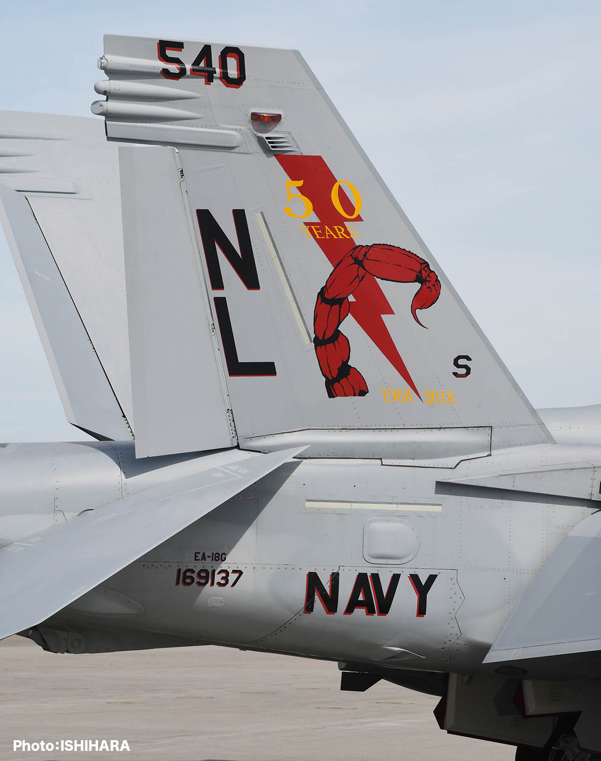 1/48 アメリカ海軍 電子戦機 EA-18Gグラウラー VAQ-132 スコーピオンズ