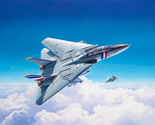 1/100　F-14D スーパートムキャット