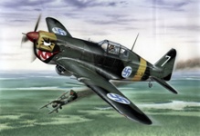 1/32 モラーヌソルニエ MS-406C.1