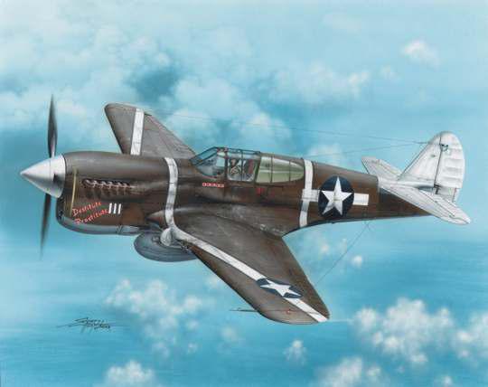 1/72 カーチス P-40F ウォーホーク ガダルカナル戦 - ウインドウを閉じる