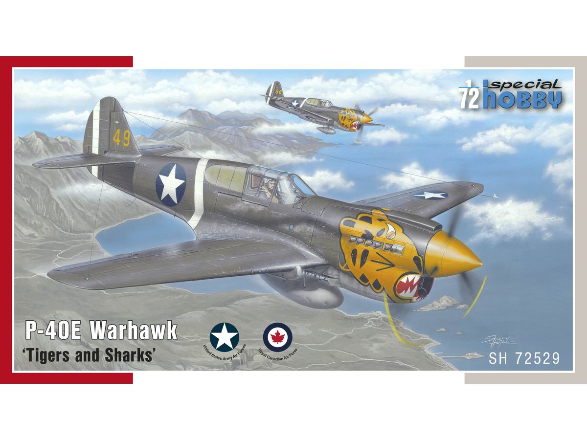 1/72 P-40E ウォーホーク タイガー & シャーク ※パッケージ破れあり