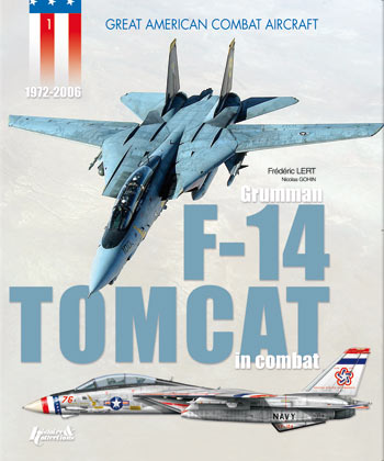 Grumman F14 - Tomcat in combat - ウインドウを閉じる