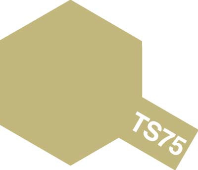TS-75 シャンパンゴールド